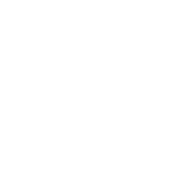 ZPSM
